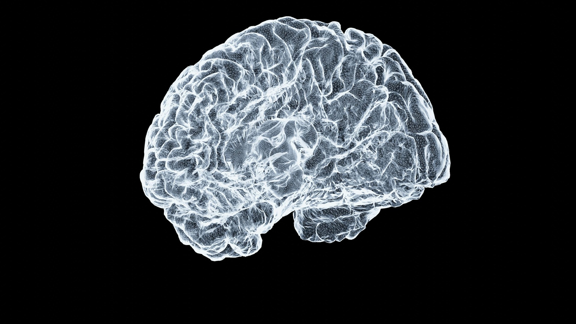 A graphic of a brain